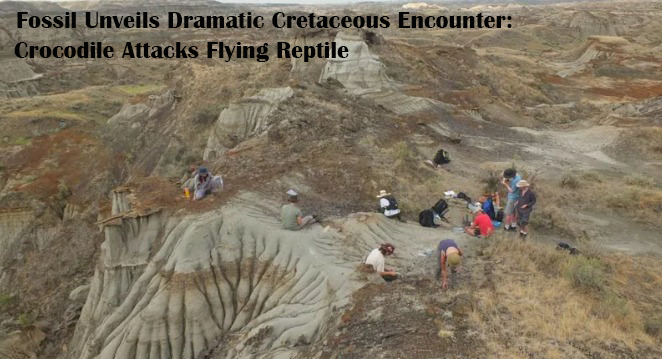 Fossil Reveals Cretaceous Drama: Crocodile Attacks Flying Reptile