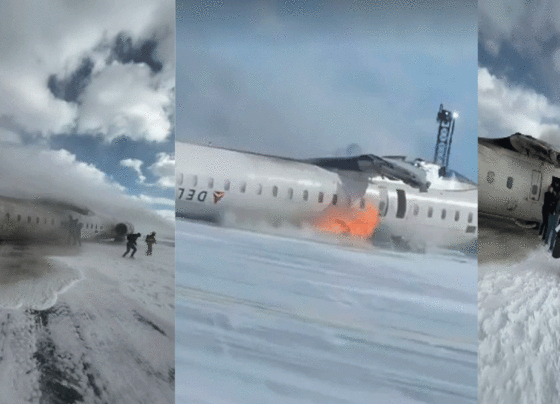 Plane Crash at Toronto Pearson Airplane terminal Harms 18 Travelers